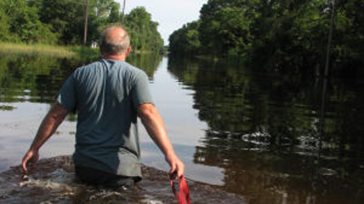 Trinity Takes Over Subdivision News Itemonline Com