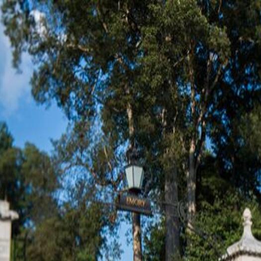 Three Georgia colleges ranked in top 50 | Don't Miss This ...