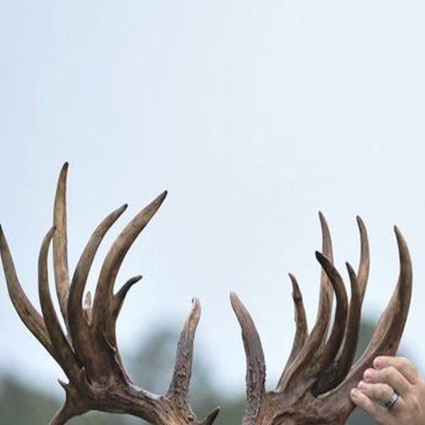 6 North American Hunting Club Books Hard Cover Deer Elk Game Rifle Hunting  Tales
