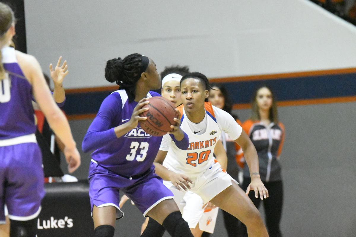 In Photos Shsu Vs Abilene Christian Women S Basketball