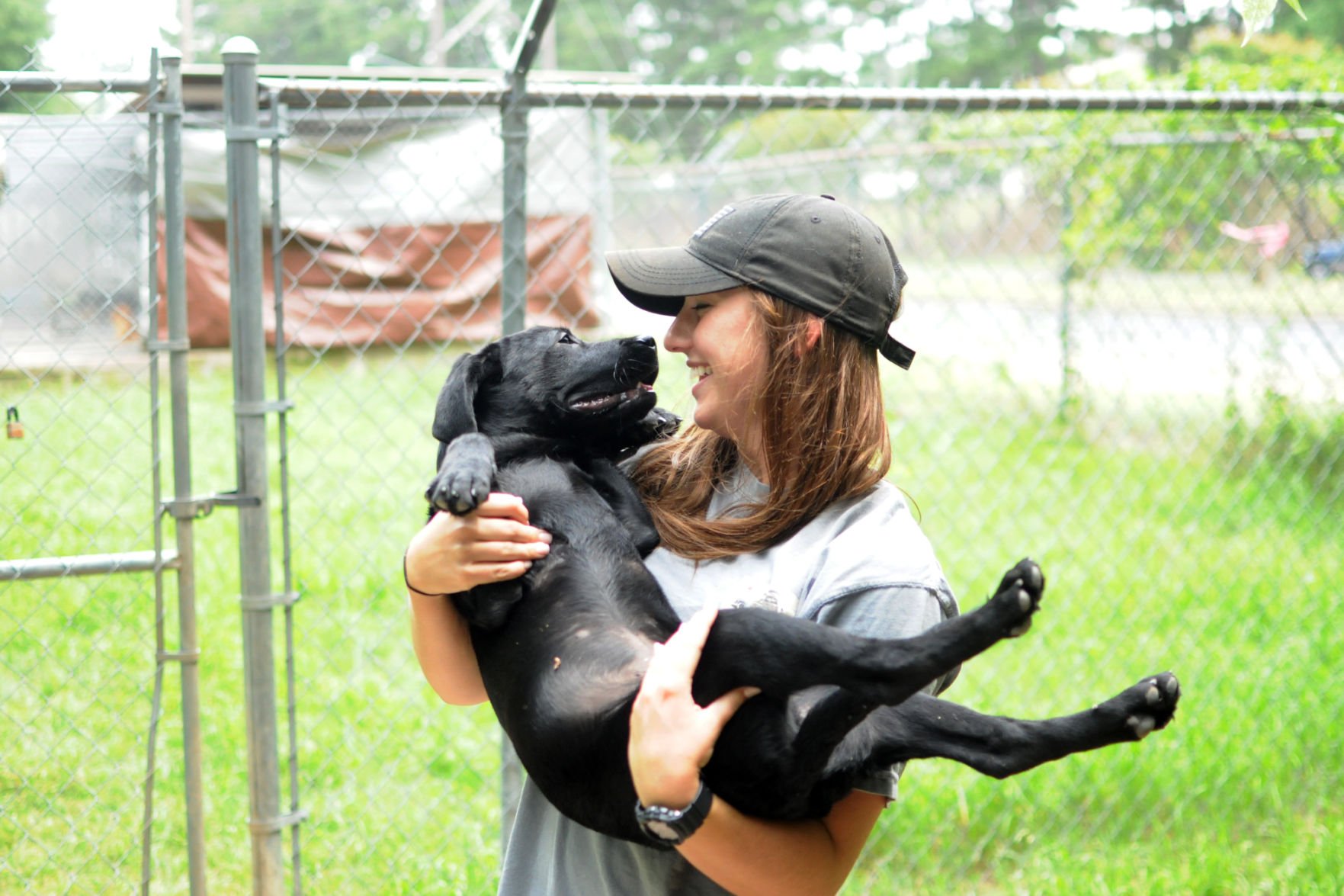 Rita B Huff Animal Shelter In Huntsville Texas