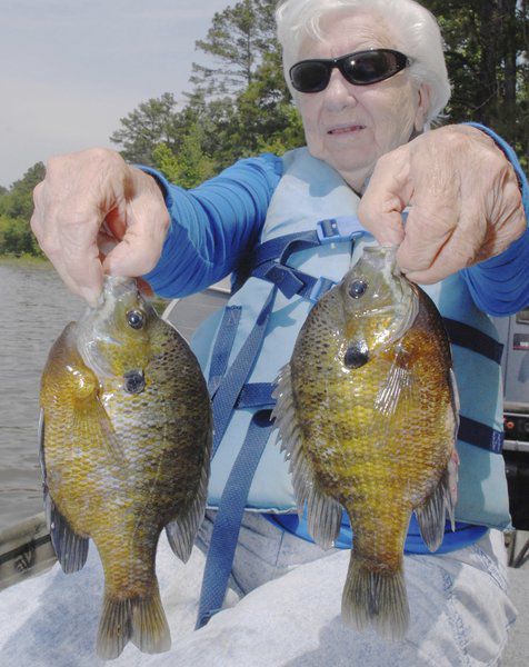 The fun of bream fishing, National Sports