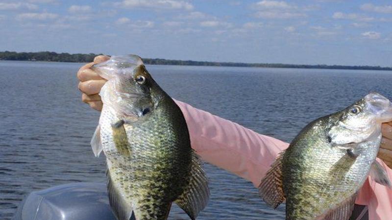 OUTDOORS: East Texas Fishing Report for June 7, 2018, Sports