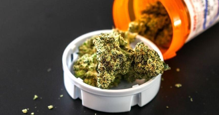 Interim study to look at pesticide contamination in medical marijuana