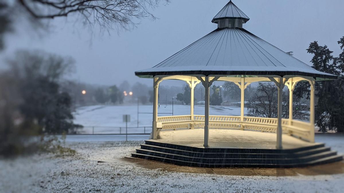 Emily Binetti - Gazebo.jpg