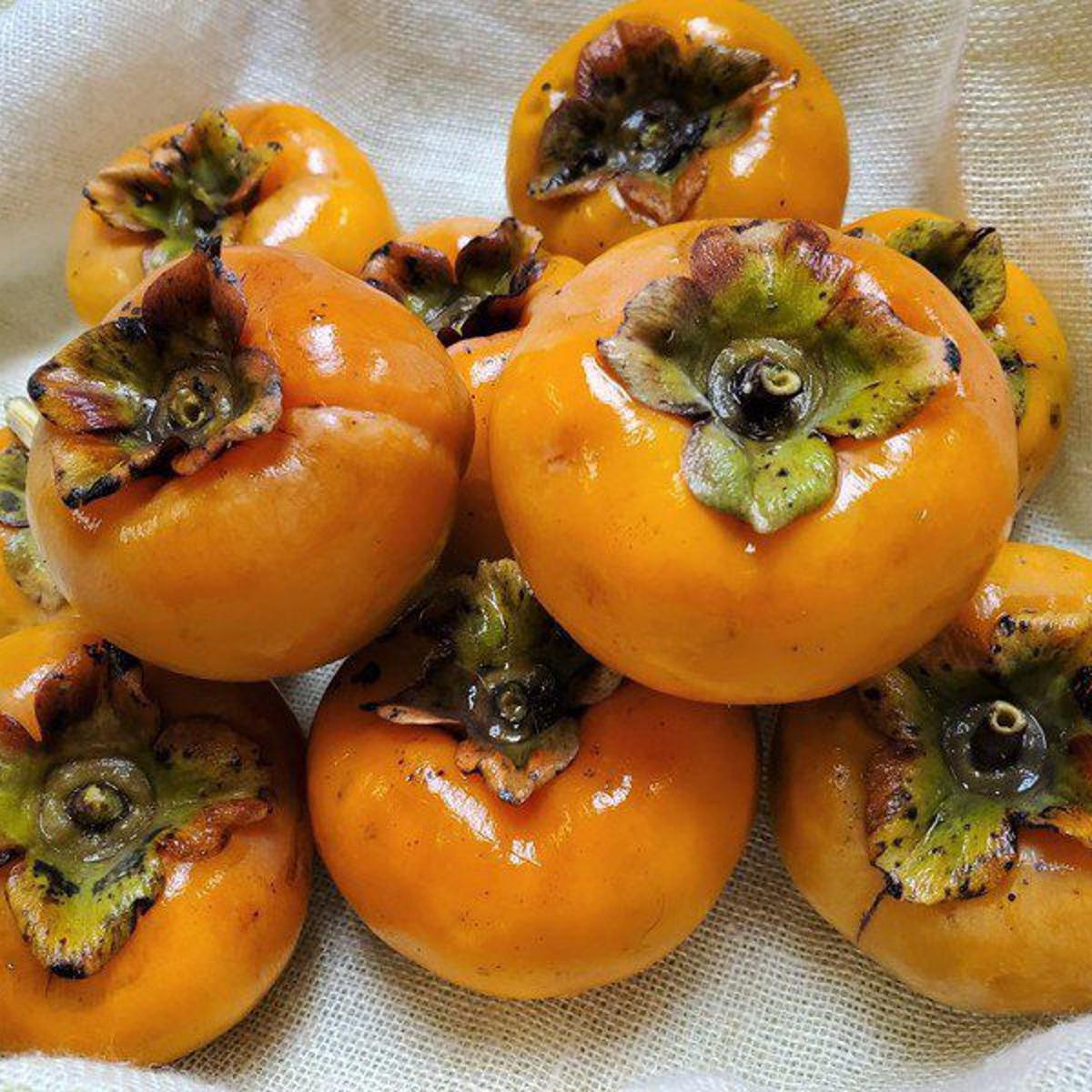 Persimmons Are A Perfect Fall Fruit News Itemonline Com