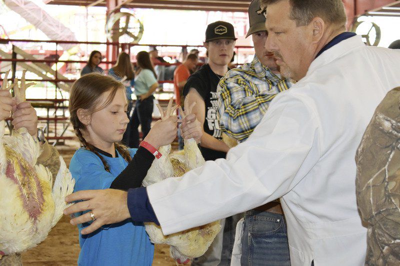 Huntsville HS sophomore Braden Brock's chickens named grand champion at ...