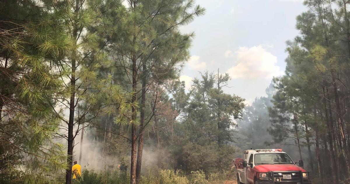 Fire crews contain wildfire in northern Walker County | News ...