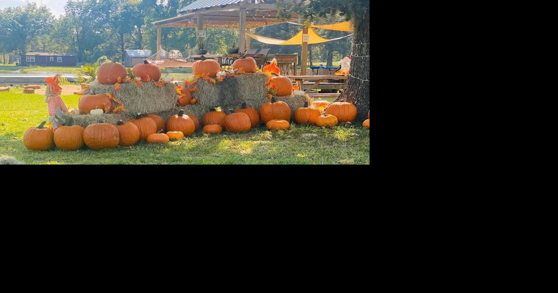 Halloween Happenings Around Huntsville News