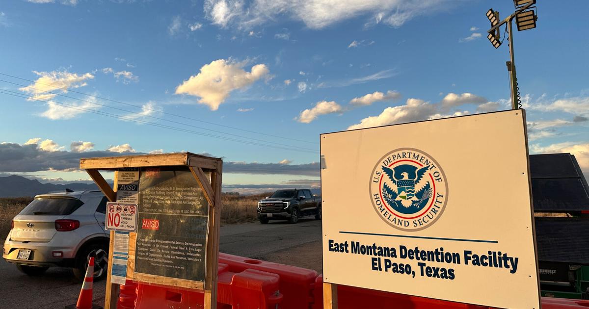 Immigration Detention Conditions