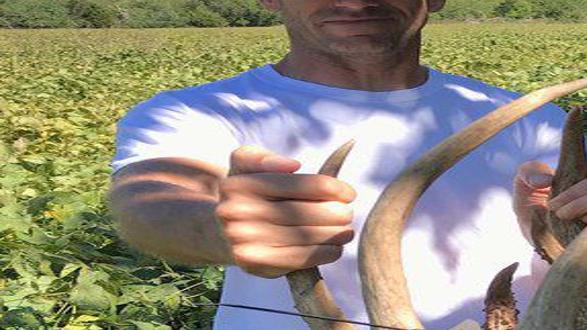 OUTDOORS: Sad truth of big buck finds, road kills and deer/vehicle  collisions | Sports | itemonline.com