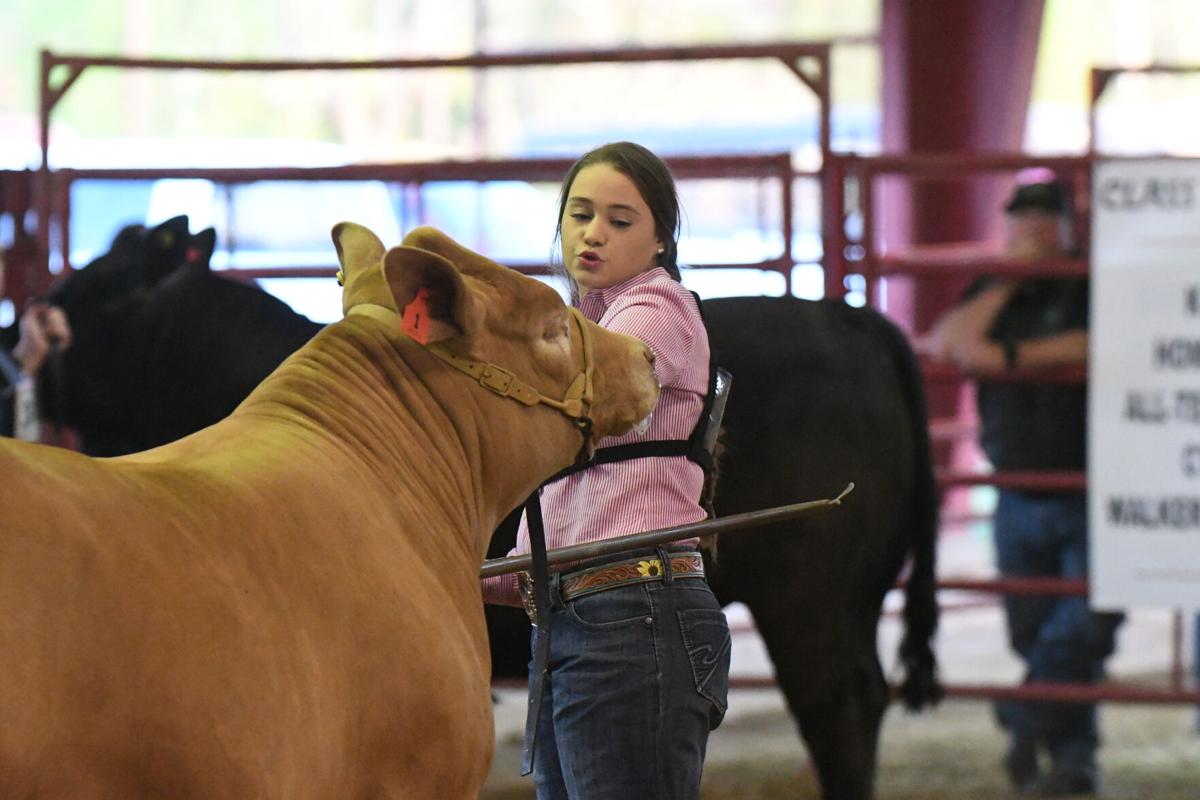 2021 Walker County Fair Results News