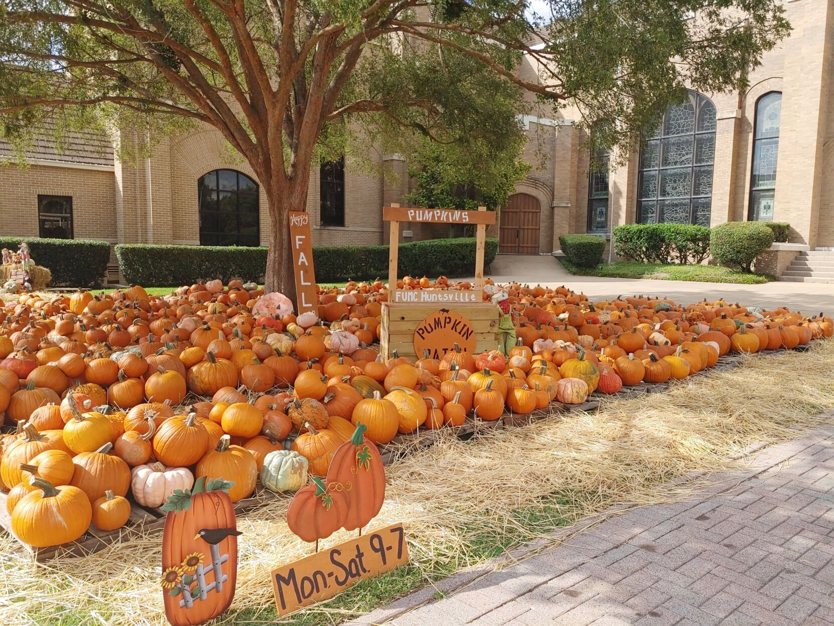 stevens pumpkin patch