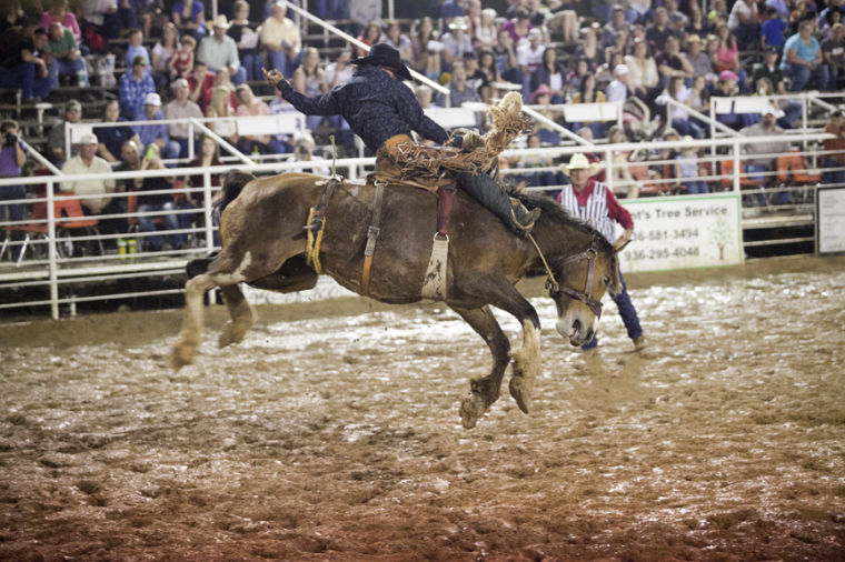 Walker County Fair Local News