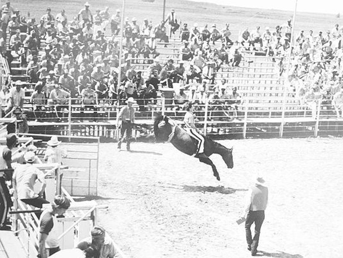 Book relives glory days of Texas Prison Rodeo | News ...