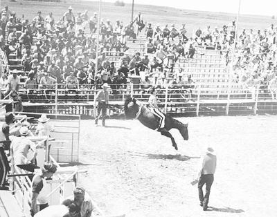 Book relives glory days of Texas Prison Rodeo | News ...