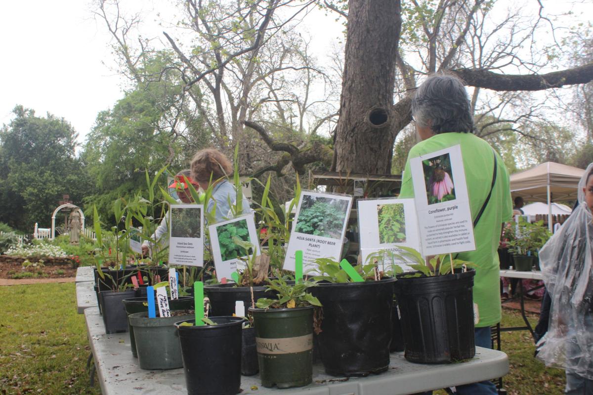 IN PHOTOS Herb Festival at the Wynne Home Arts Center Multimedia
