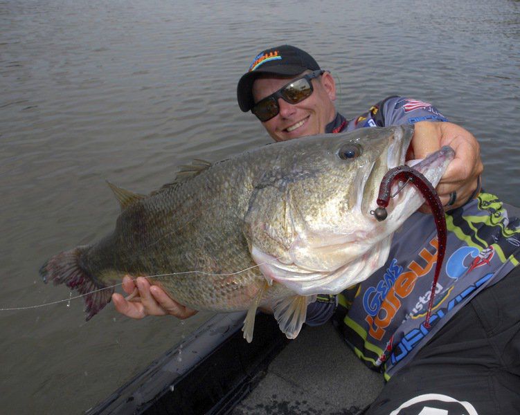Toledo bend fishing Clearance