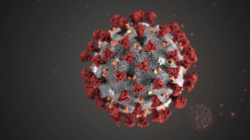 Coronavirus