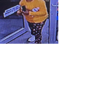 MISSING PERSON: Silver Alert issued for missing Palestine woman | News ...