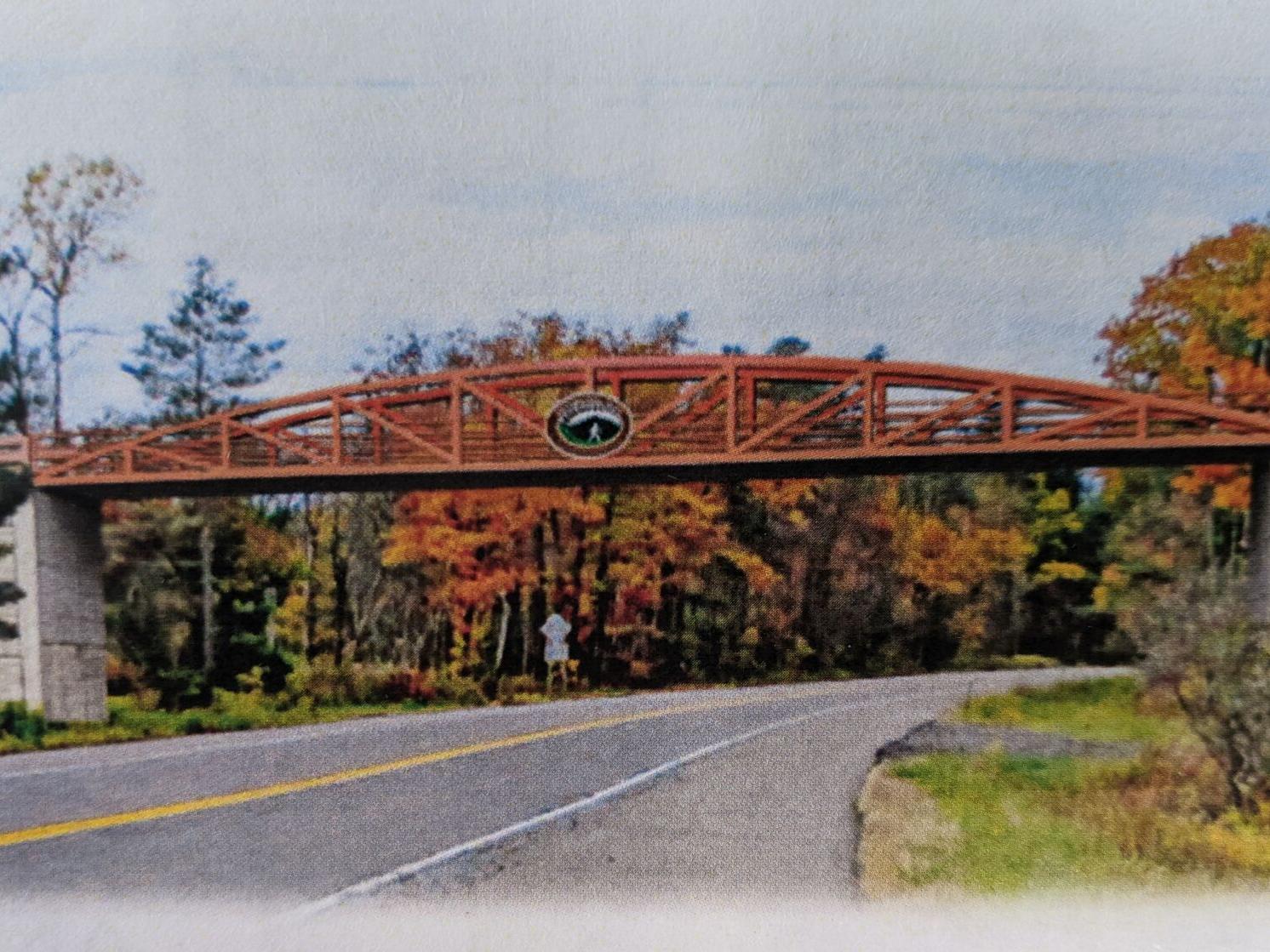 Dryden public express split views on Rail Trail bridge - Vimarsana News