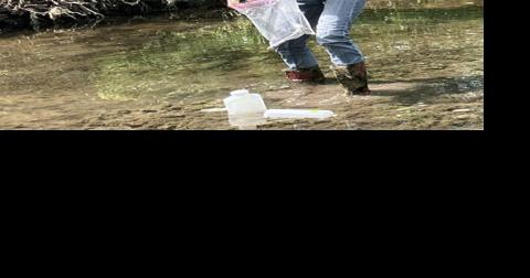 How's The Water? Public Forum Nov. 3 Shows How to Check Water Quality | Tompkins County - Vimarsana News