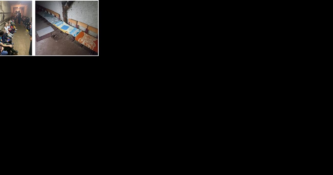 Ithaca Rotary to Hold Art Auction to Raise Money for Ukraine Bomb-Shelter - Vimarsana News