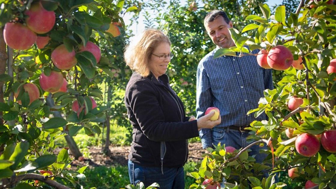 Crunchy Complex Cornell Releases Three New Apples News Ithaca Com