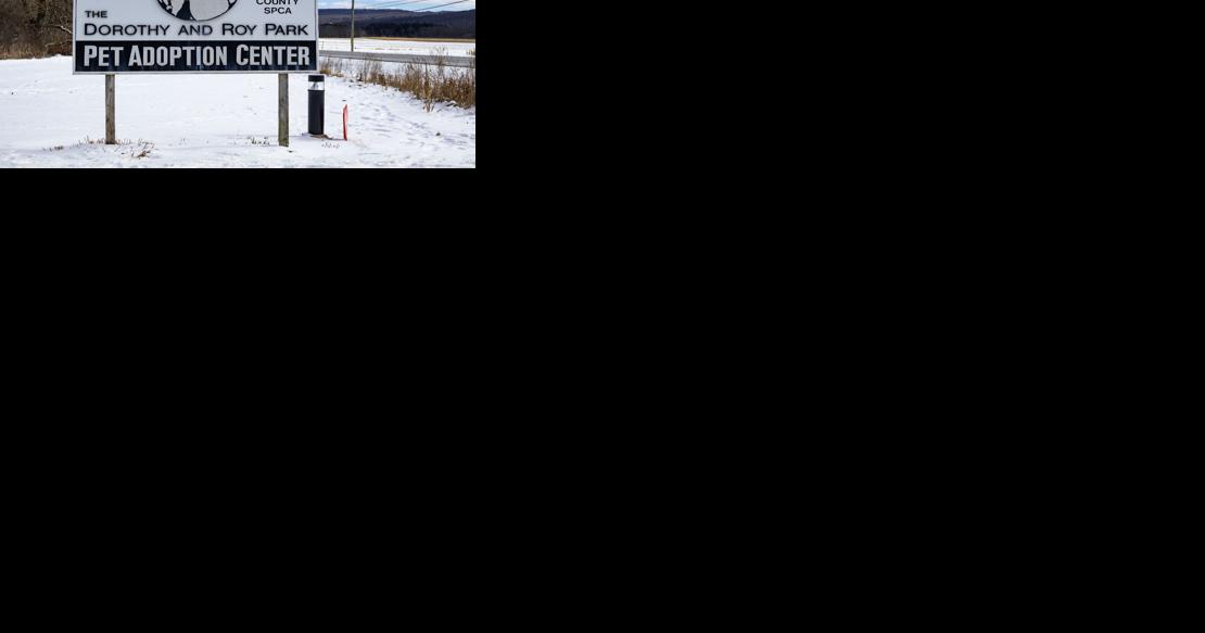 Allegations of Mismanagement at Tompkins County SPCA Prompt Calls for Investigation - Vimarsana News