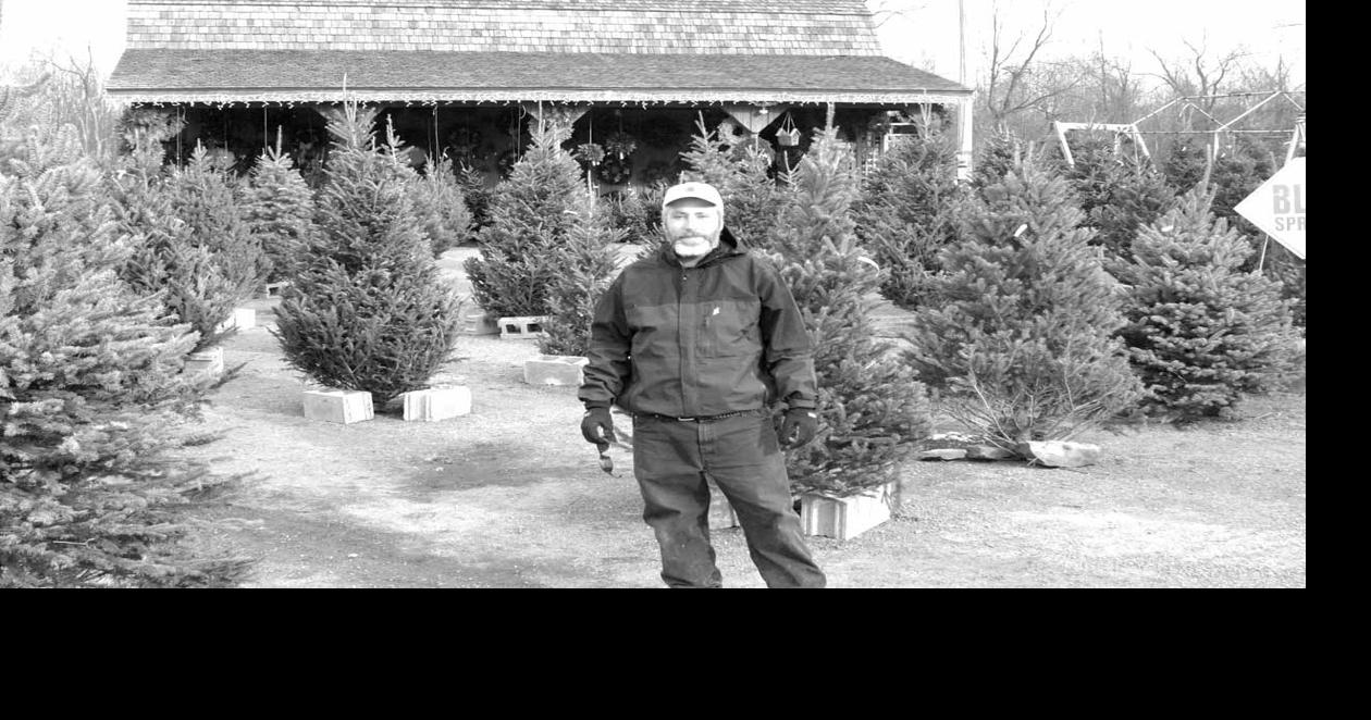 A Day in the Life of a Christmas Tree Seller News