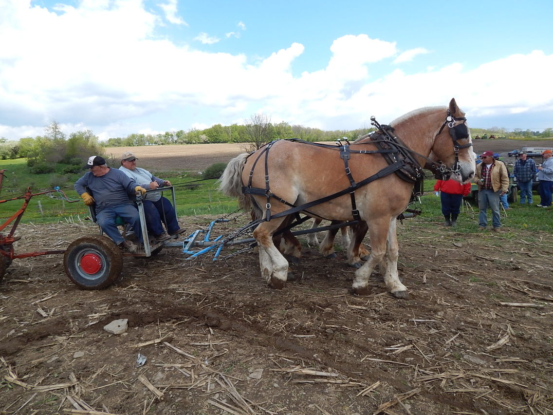 homes for sale in ovid ny