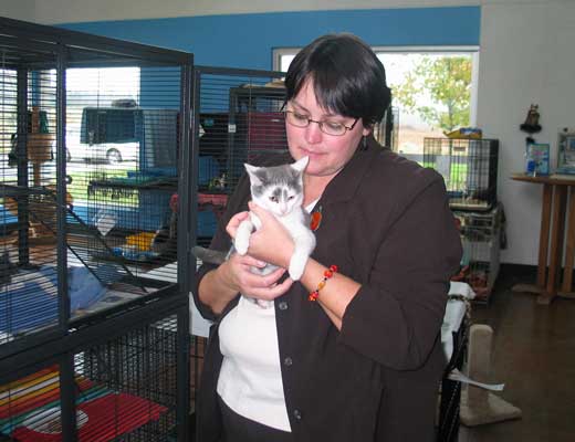 spca chinchilla