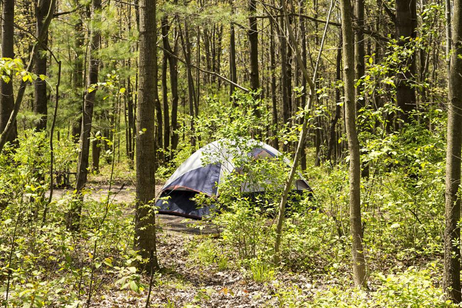 Camping on the Ridge Summer Ithaca