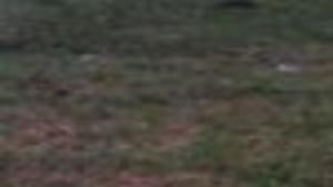 Kitchen Theatre Teams With Comedienne Vijai Nathan Entertainment Ithaca Com 5 видео 638 просмотров обновлен 24 апр. ithaca times