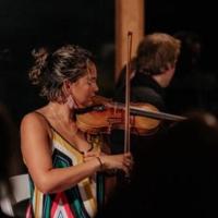 Chamber Music at New Park Enters Its Tenth Year