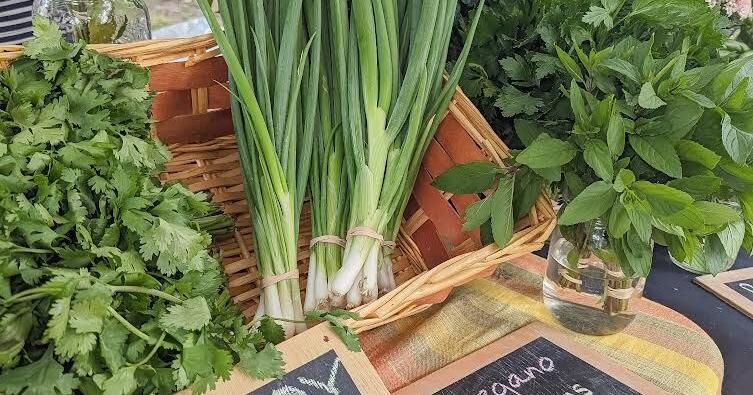 Ithaca Farmers Market Returns to DeWitt Park with New Timing for Summer 2024 - Vimarsana News