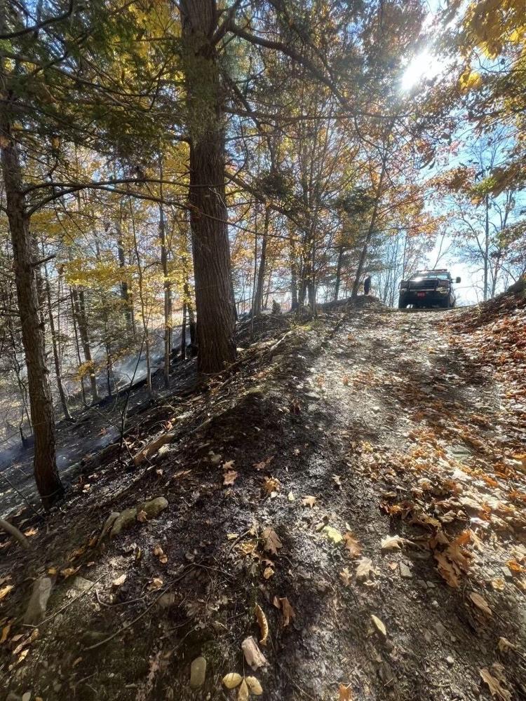 Ithaca, Enfield, Newfield Fire Departments Extinguish Brush Fire