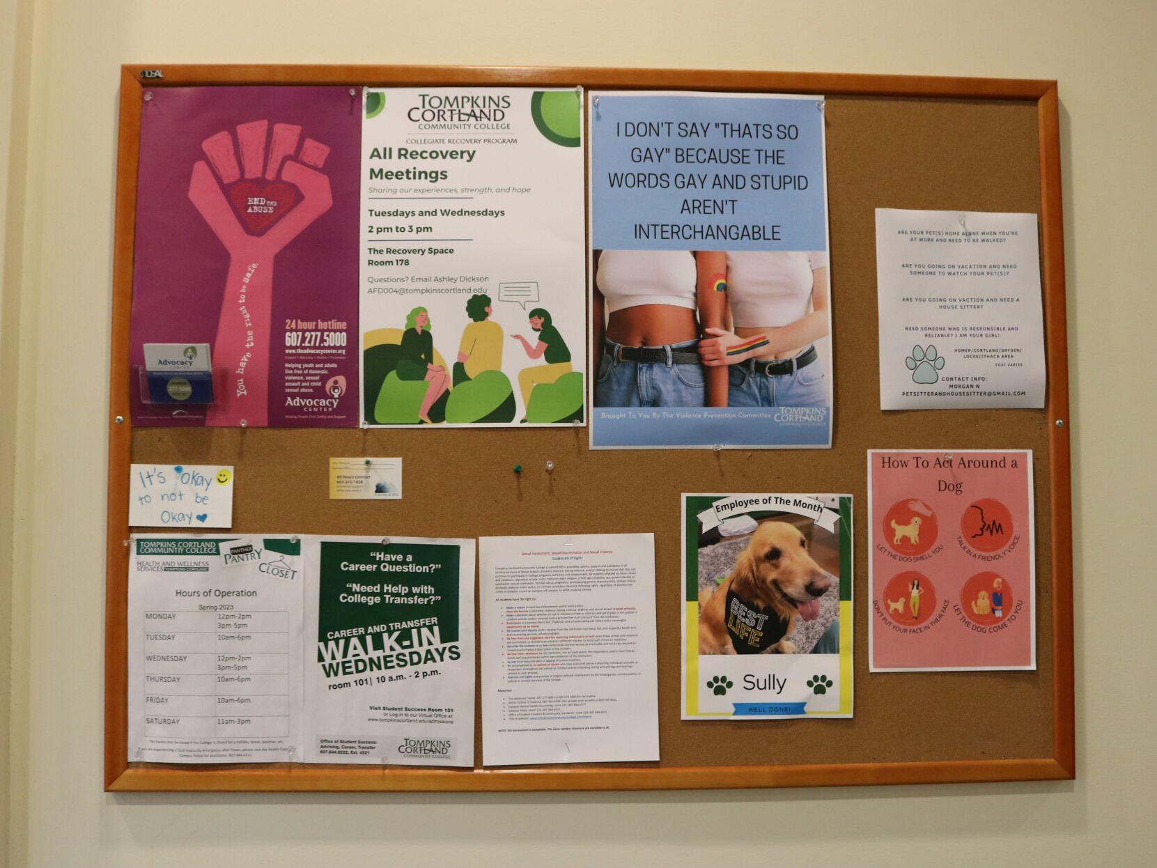 New Initiatives for College Student Mental Health and Wellness | Student  Survival Guide | ithaca.com