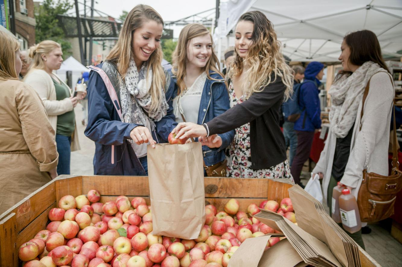 Apple Harvest Festival returns Oct. 1 Ithaca