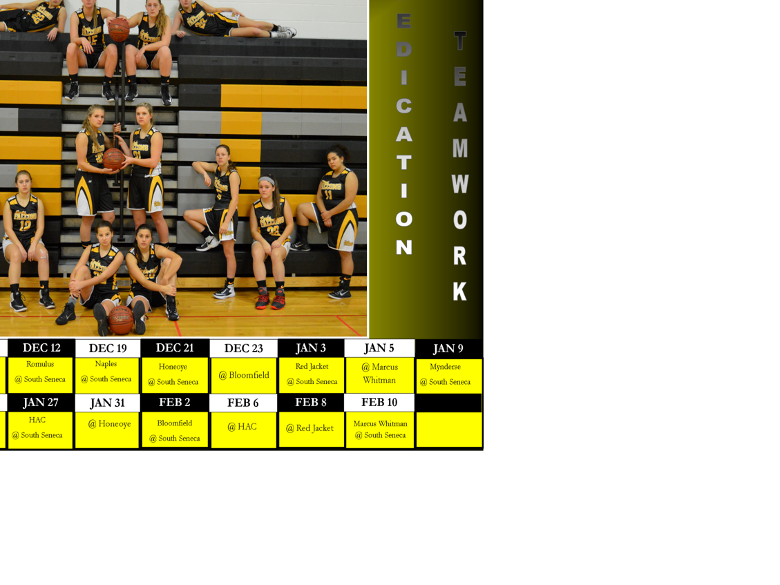 South Seneca seniors end stellar careers short of 2nd title Sports