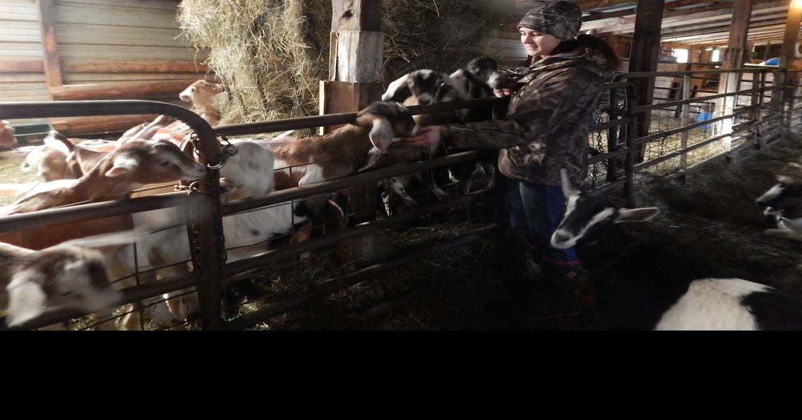 Candor Goat Farm Celebrates 30 Years News