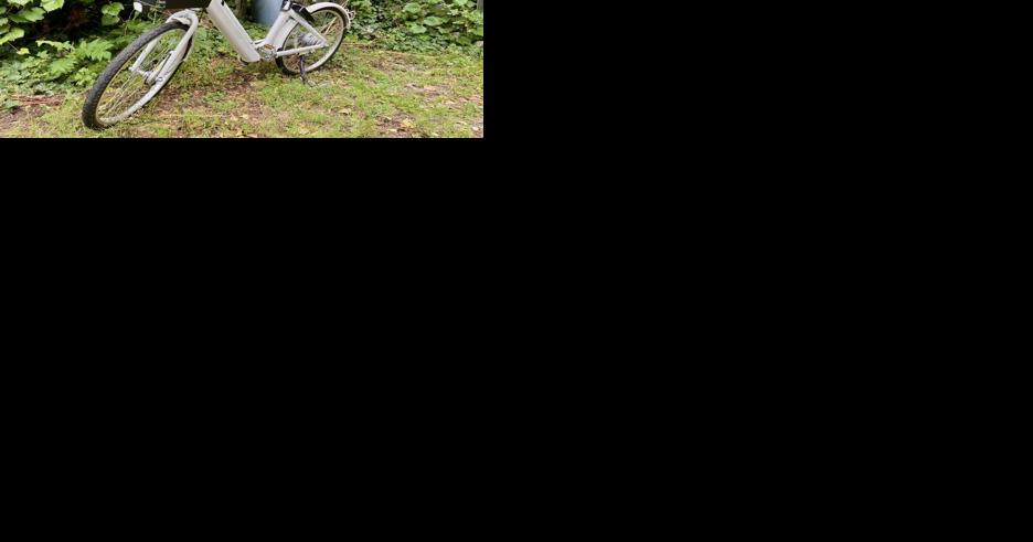 BACK IN THE SADDLE?—Dock-less Bike Sharing May Be Coming Back - Vimarsana News