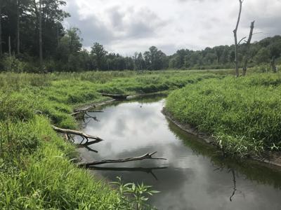 DC BLOX purchase land and secures power in South Carolina