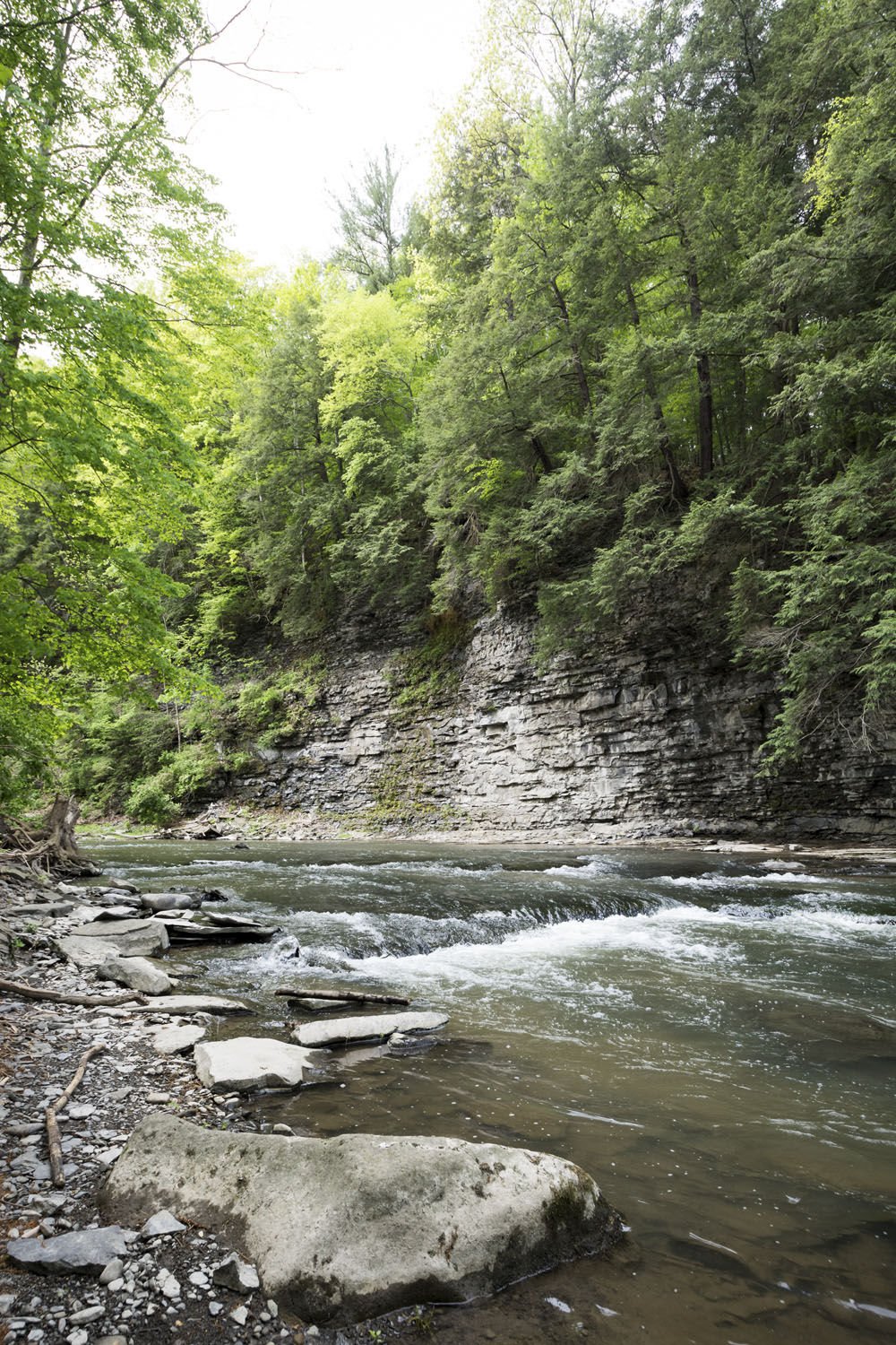 The natural state of Six Mile Creek News