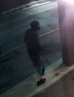suspect 1.png