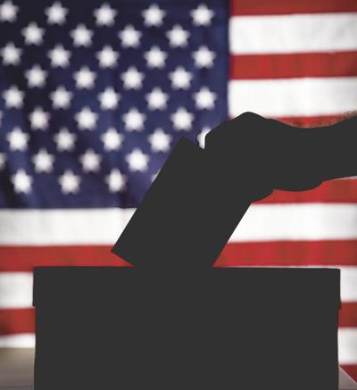 Tompkins County Democratic Committee Endorses Slate Of Candidates News Ithaca Com