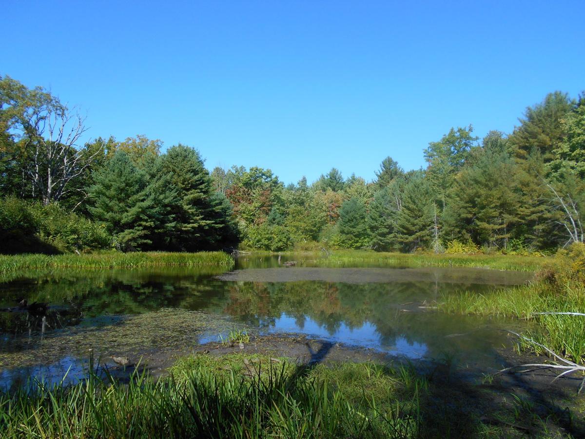 What does the future hold for Connecticut Hill? News