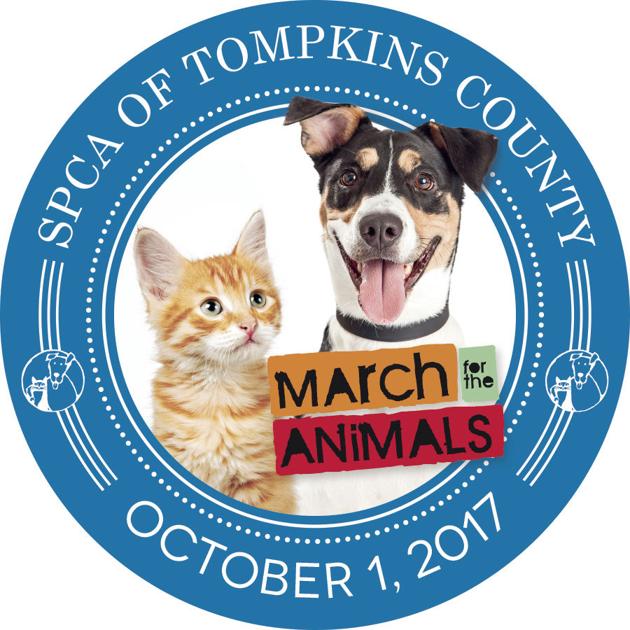 SPCA s annual March for the Animals  scheduled for October 