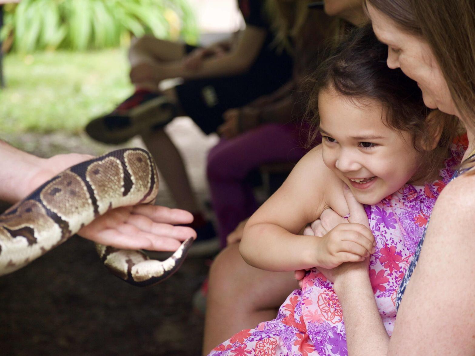 Science and nature and fossils, oh my! - Vimarsana News
