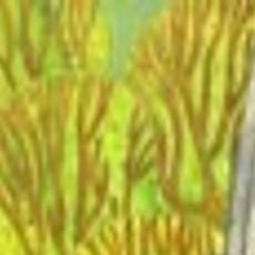 Back To Basics The Secret Of Kells Offers Beautiful Animation